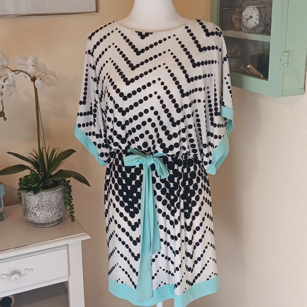 Sandra Darren Chevron Polka Dot Dress. Normcore. Y2K